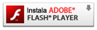 Flash Player