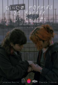 59 Poster Cinco Formas De Borrar Un Chupon 224x330