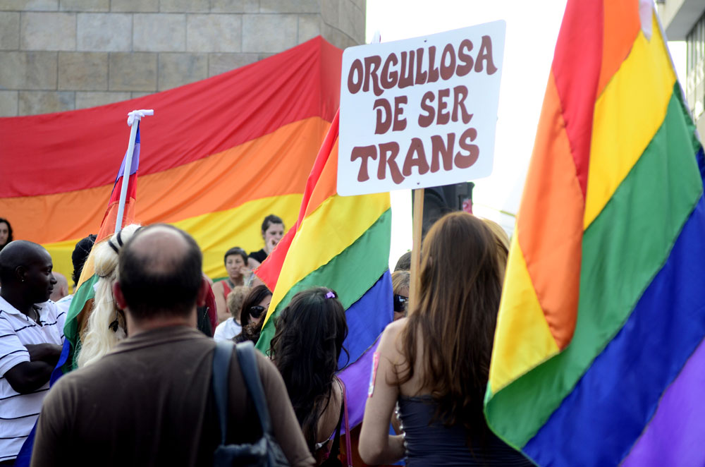 Personas transexuales podrán someterse a cirugías de readecuación corporal  en Los Lagos – Movilh Chile